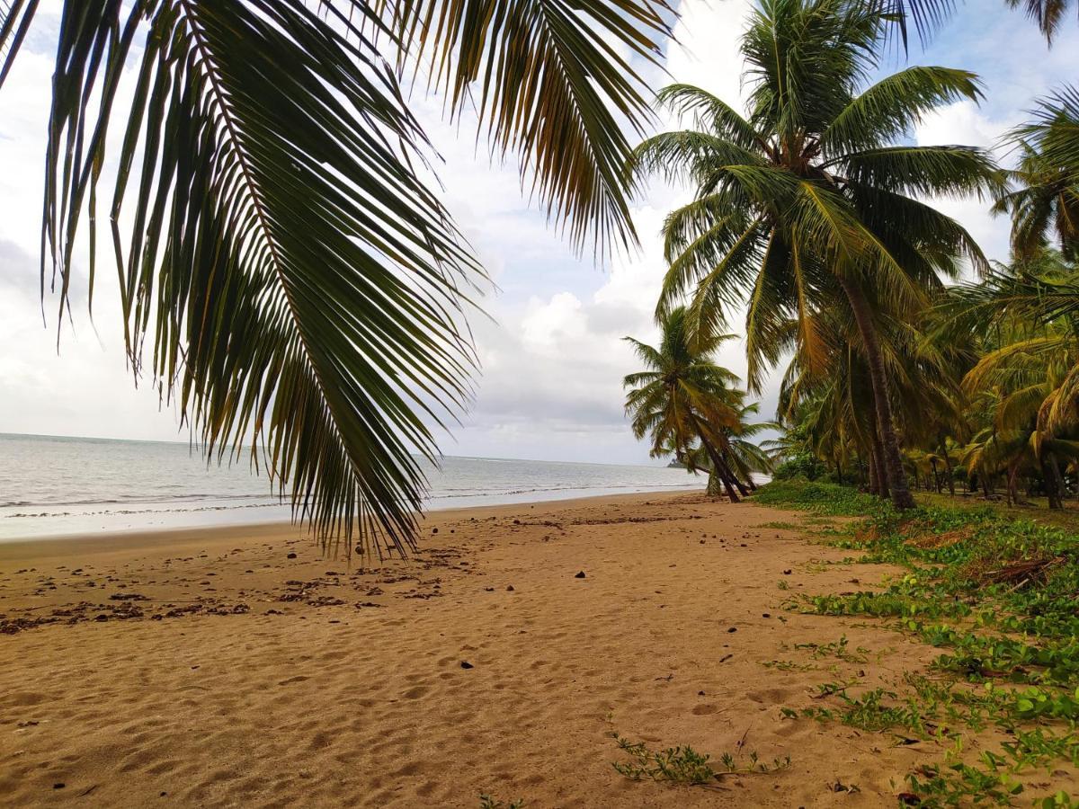 Flat Japaratinga Beach Leilighet Eksteriør bilde